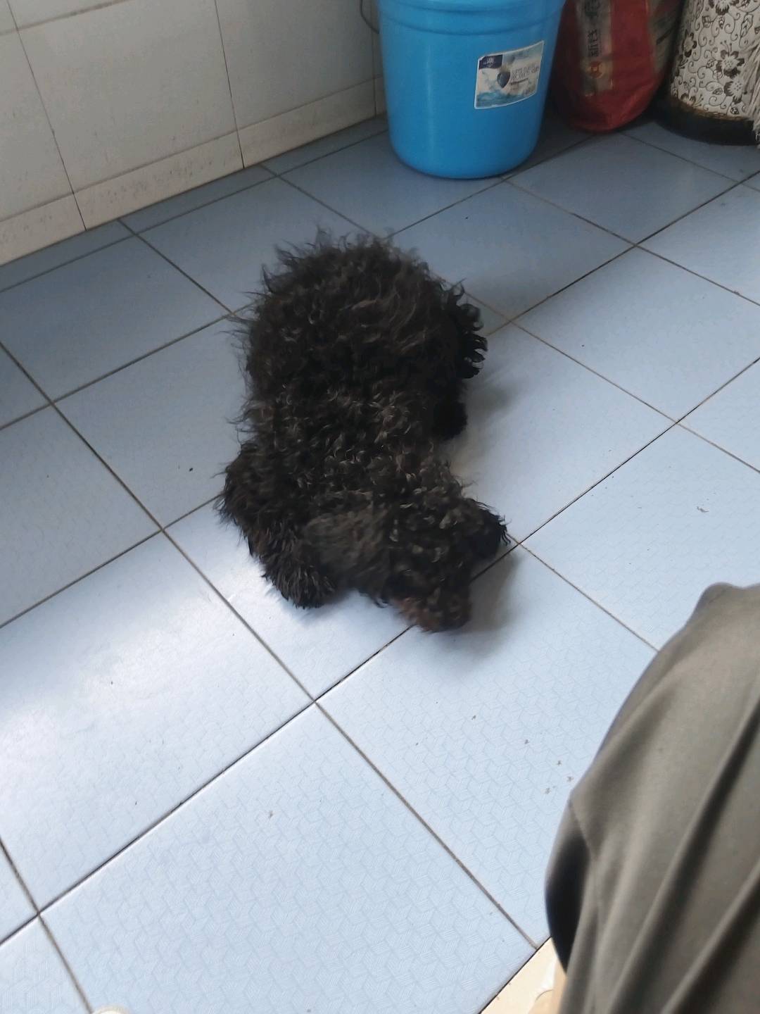 家里老人反对我继续养