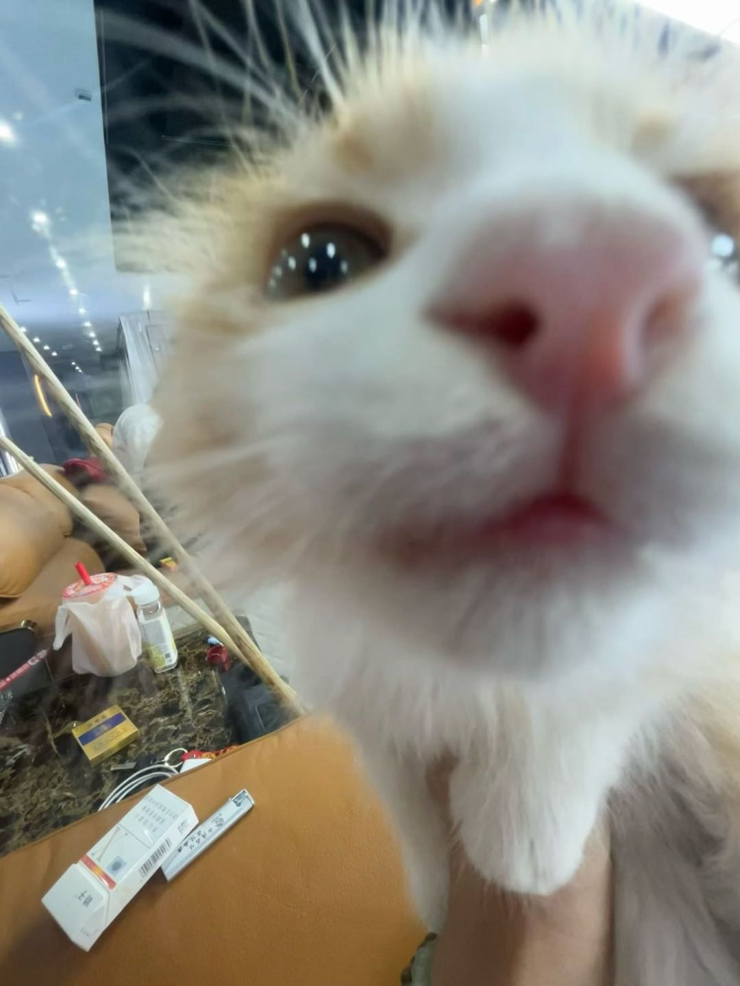 闲置详情