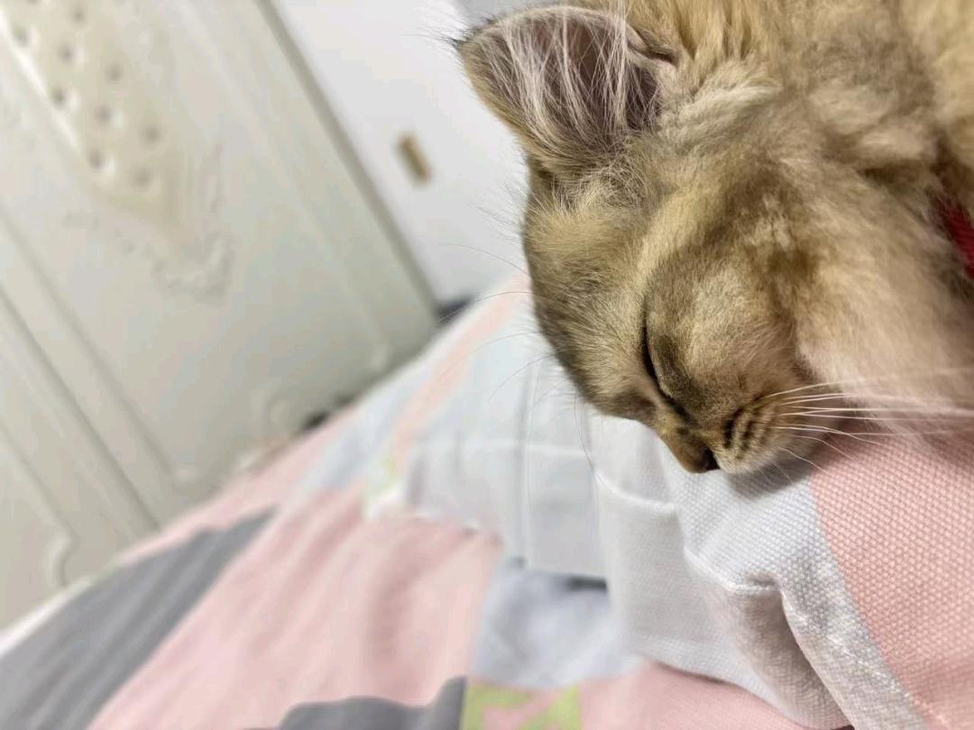 闲置详情