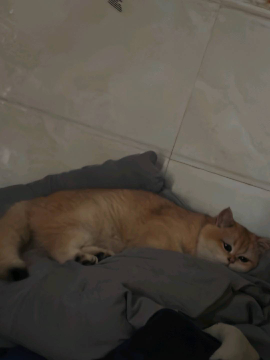 闲置详情