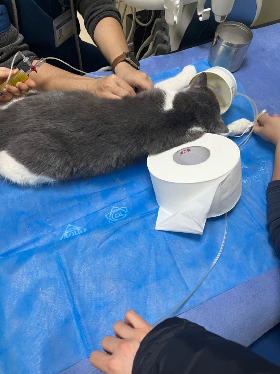 441针剂
哪儿有售卖的？