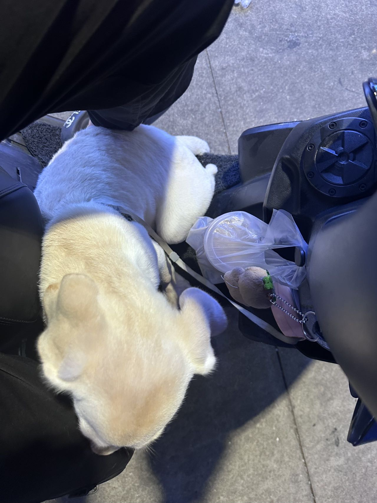 闲置详情