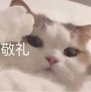 这个平台的宠物托运靠谱吗