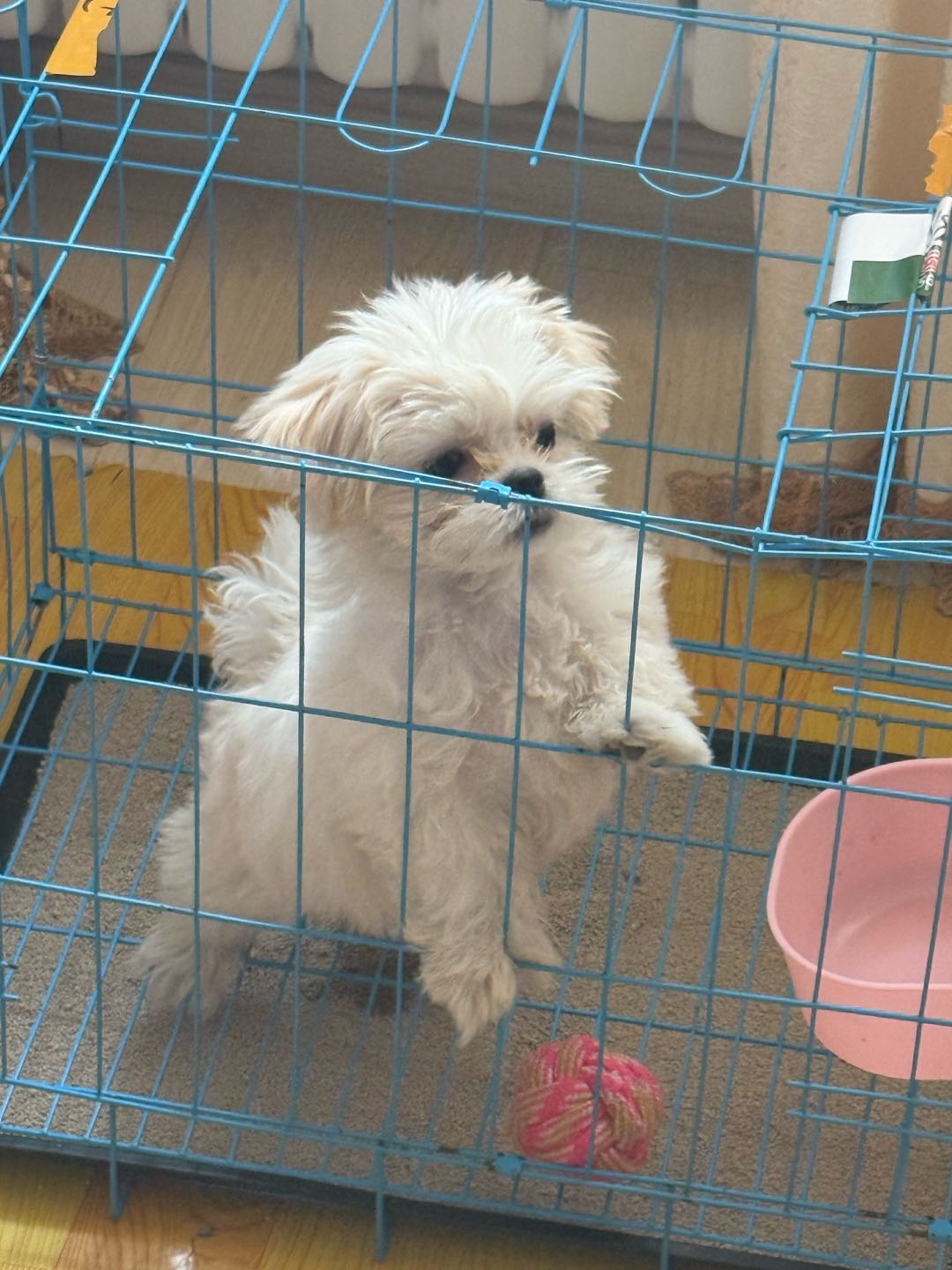 闲置详情