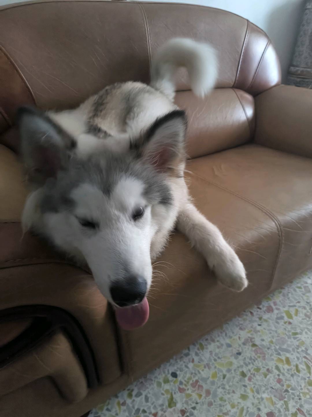 闲置详情