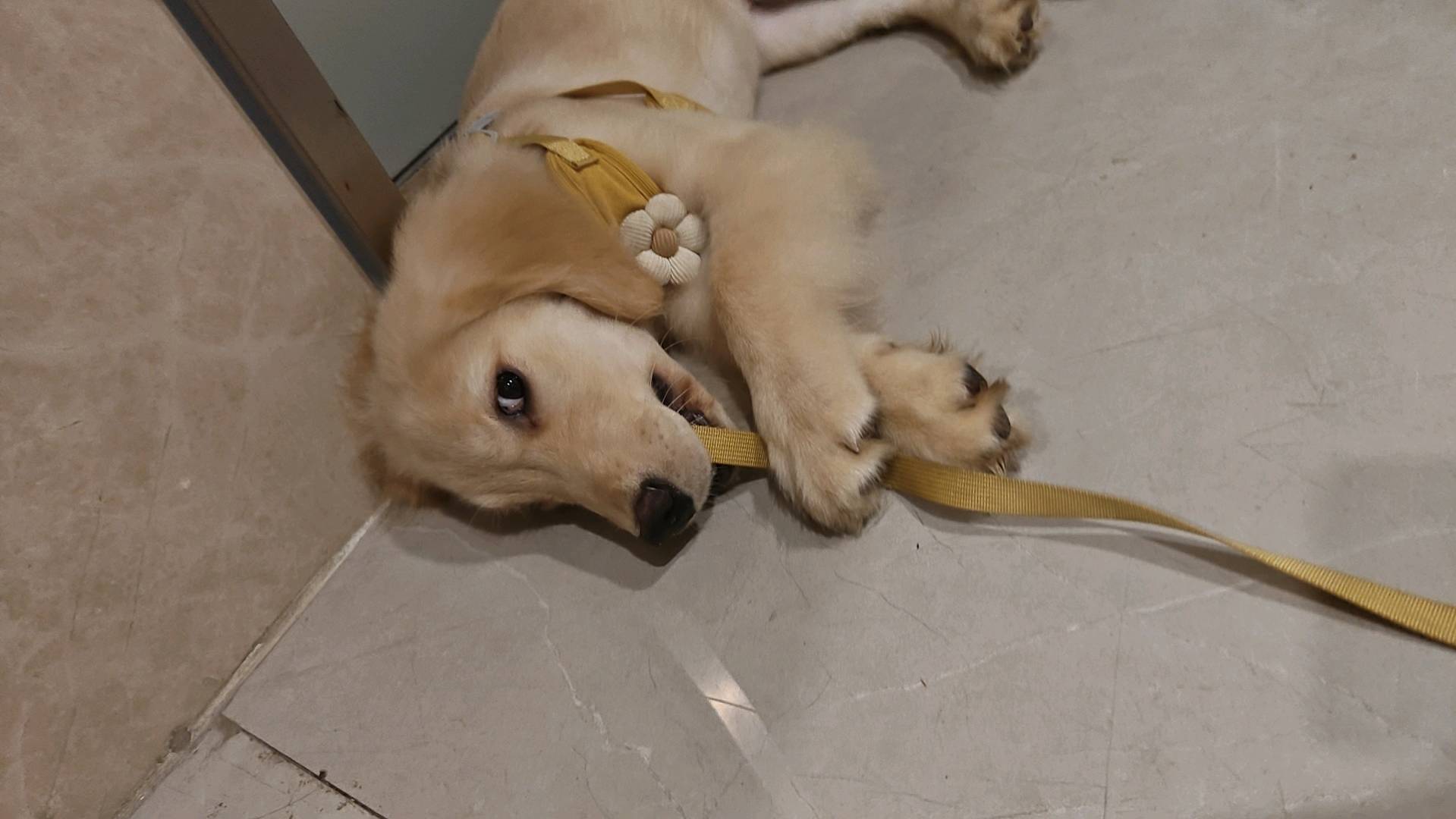 闲置详情