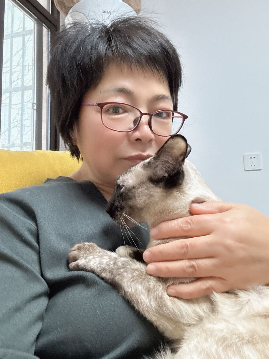 本人居住在合肥，可以上门为您的爱宠添水喂食铲屎，全程为您的爱宠视频服务，喜欢猫咪，养猫10年。