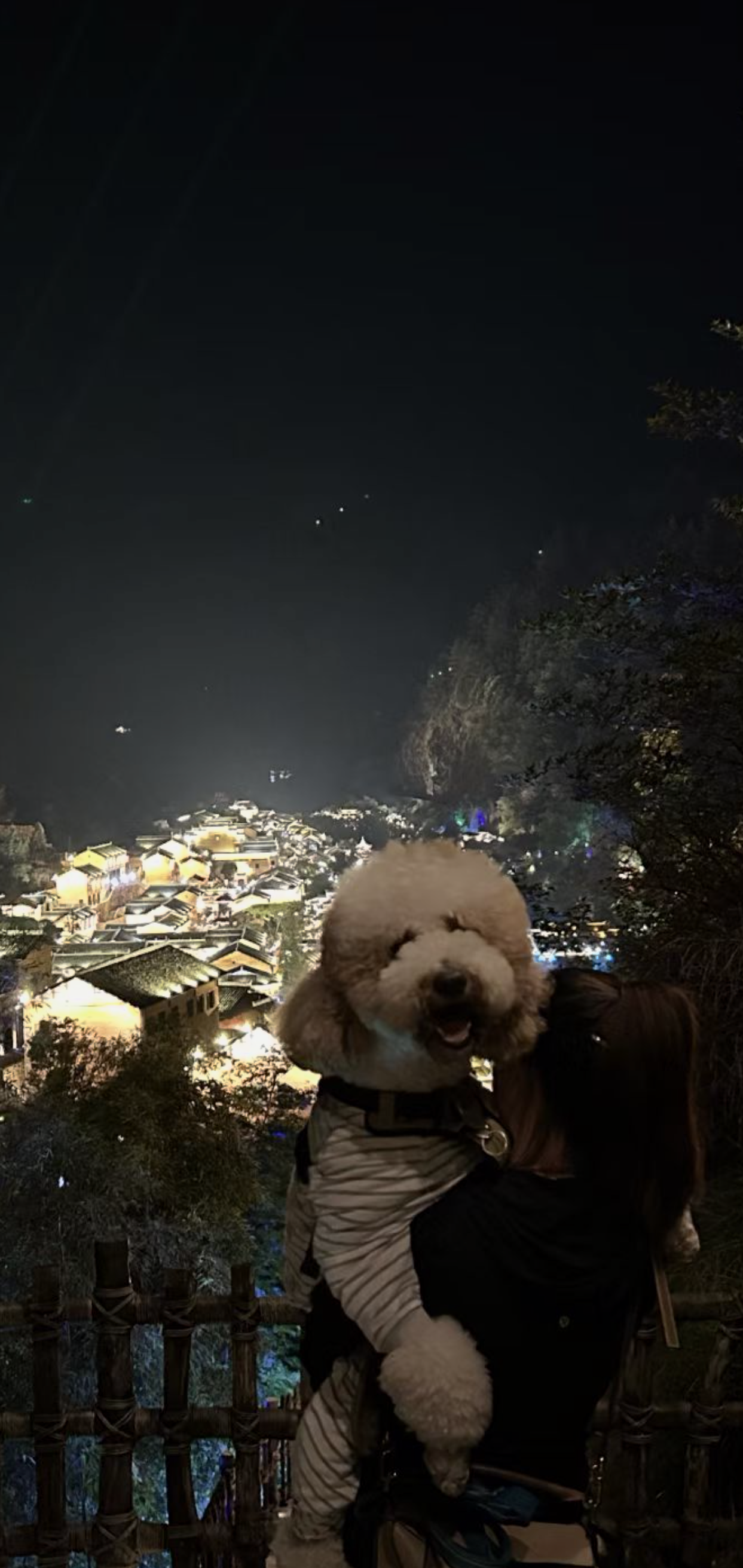 狗狗萌宠档案