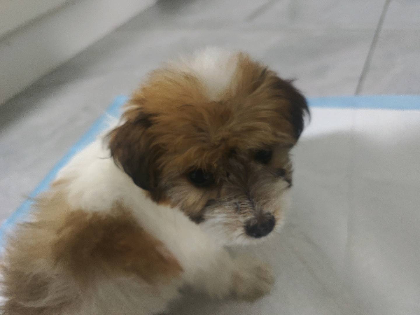 闲置详情