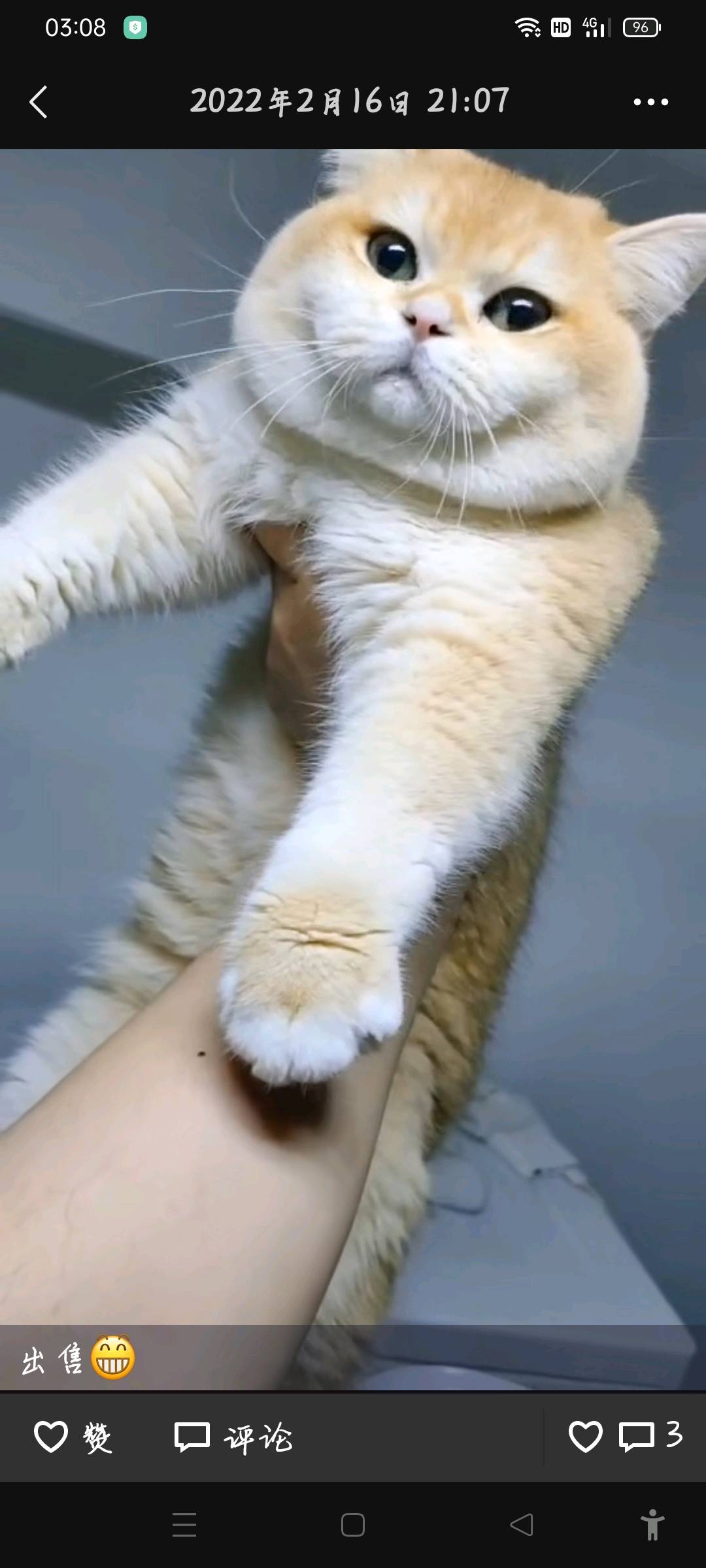 动态