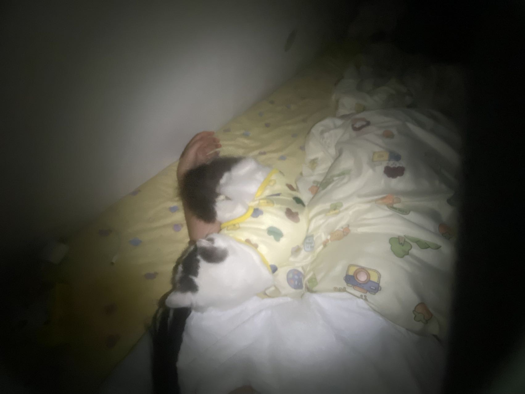 很胆小会用猫砂偶尔会很粘人有点调皮