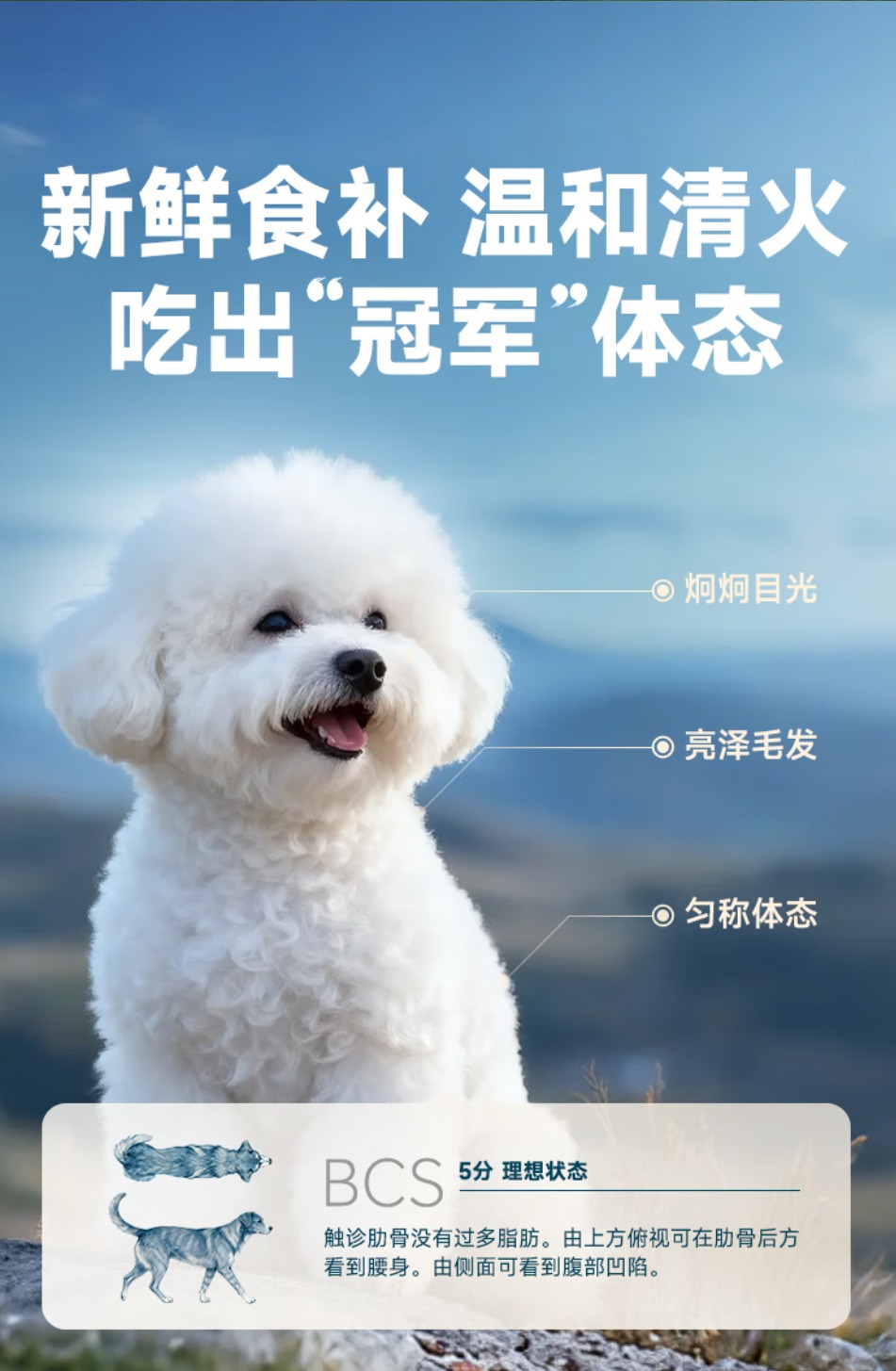 鲜朗低温烘焙全价狗粮泰迪比熊幼犬成犬全阶段通用犬粮 烘焙犬粮(鸭肉梨)2kg【单包装】 6