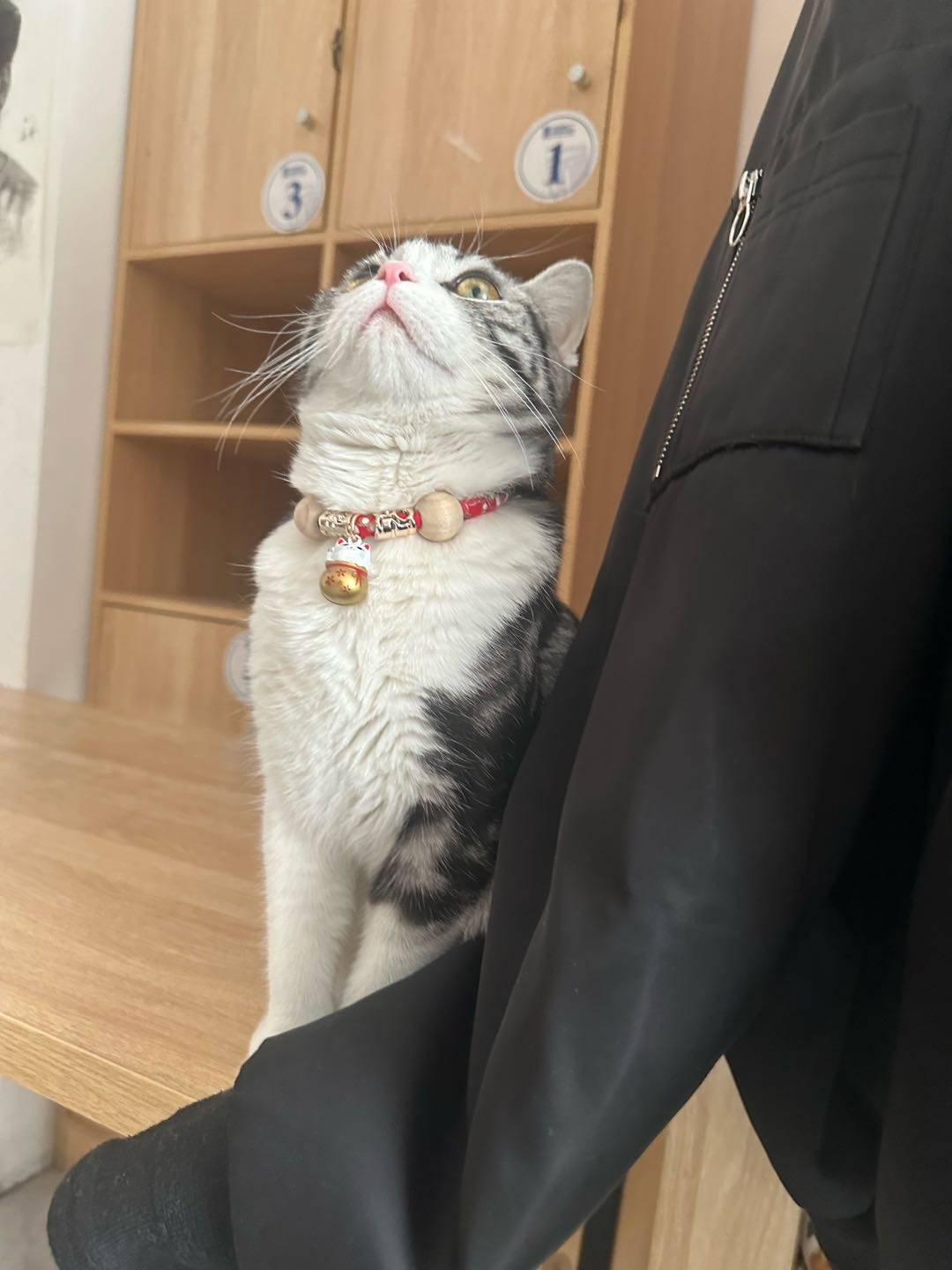 达人动态