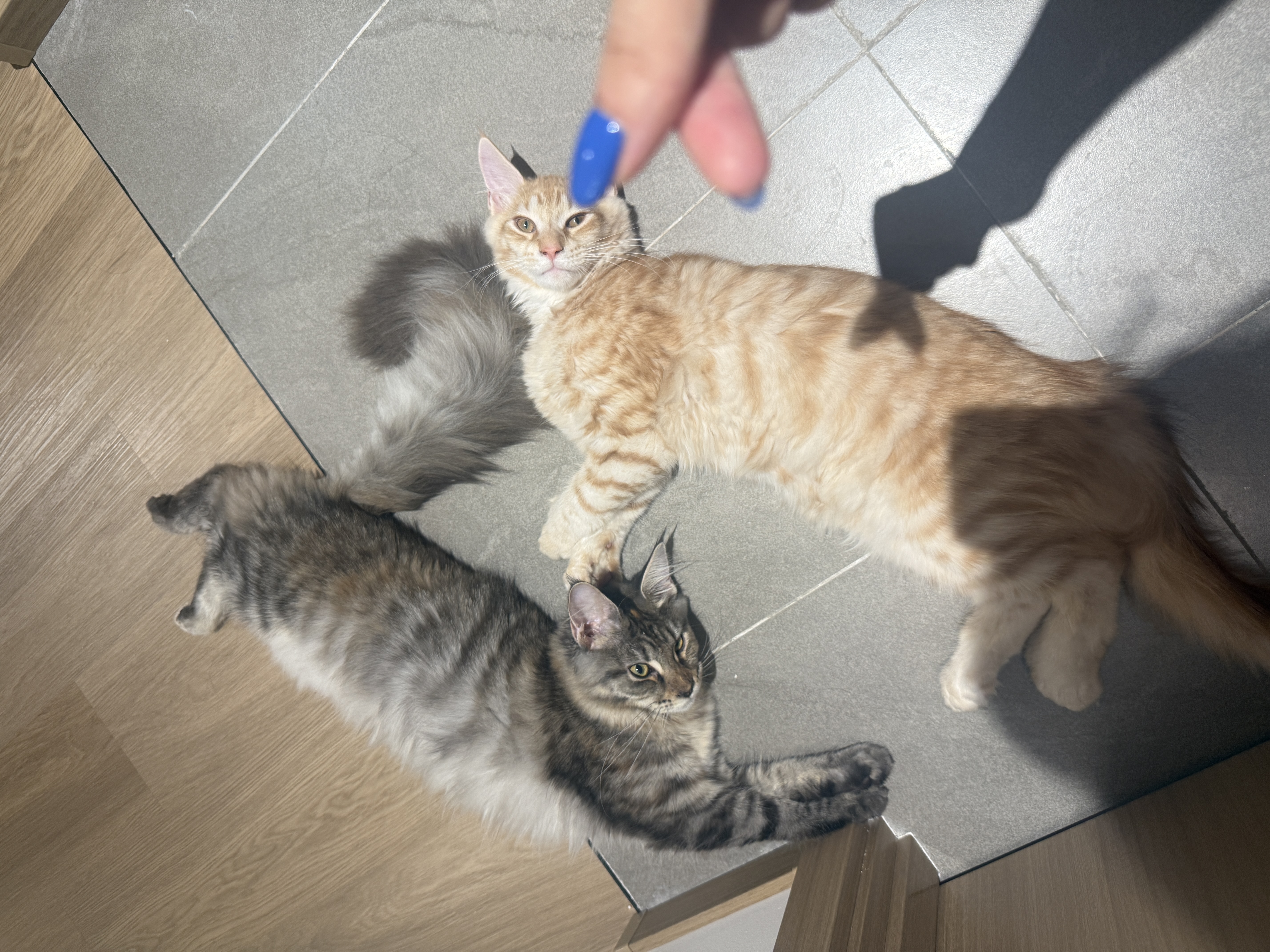 闲置详情