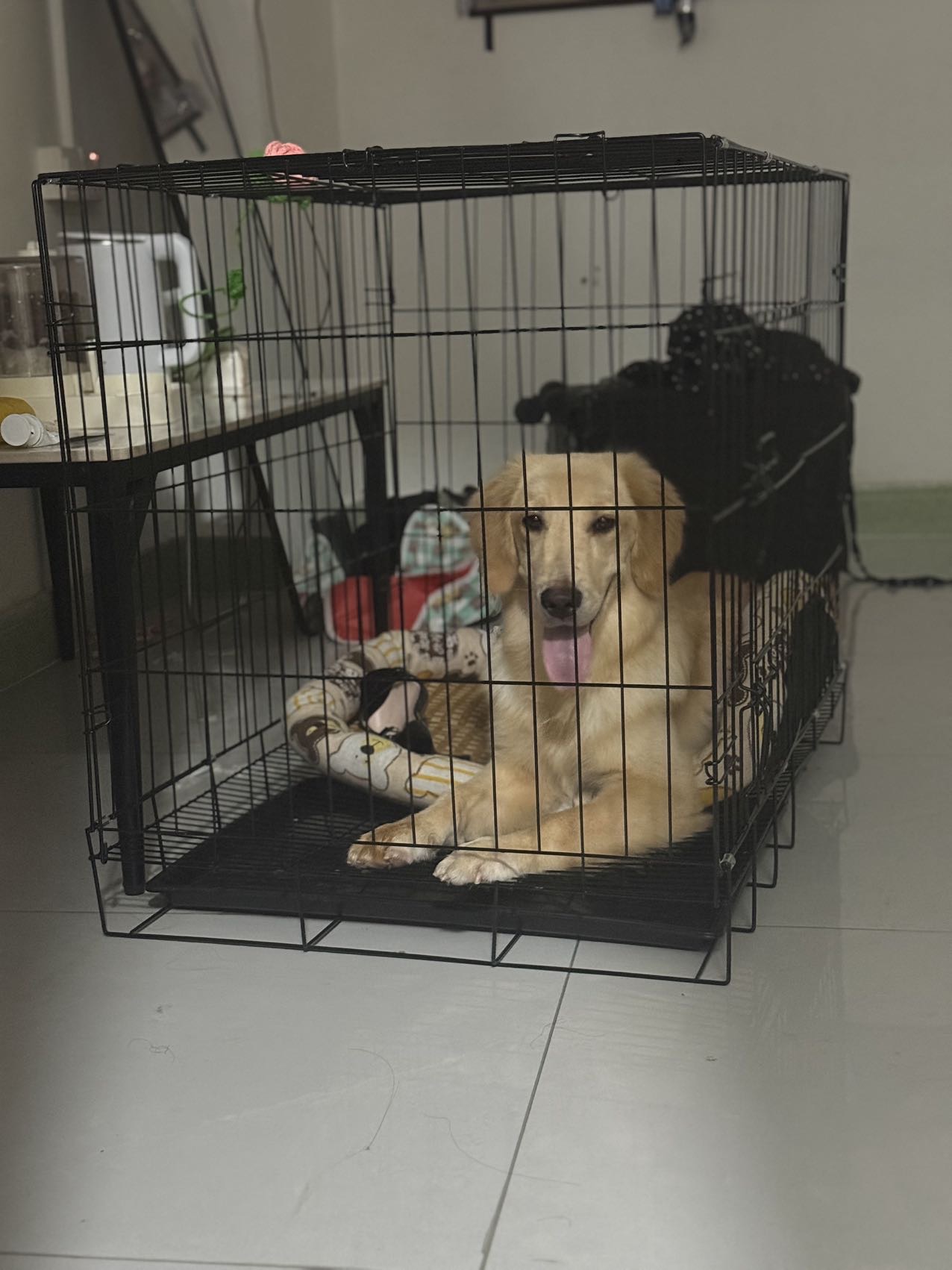可爱活泼开朗听话