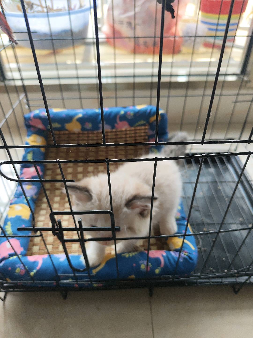 闲置详情
