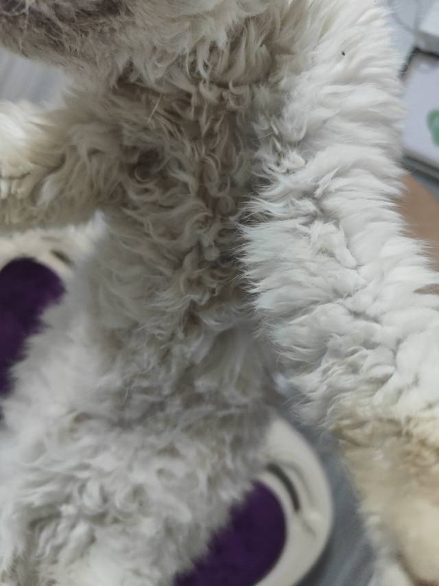 银白赛凯