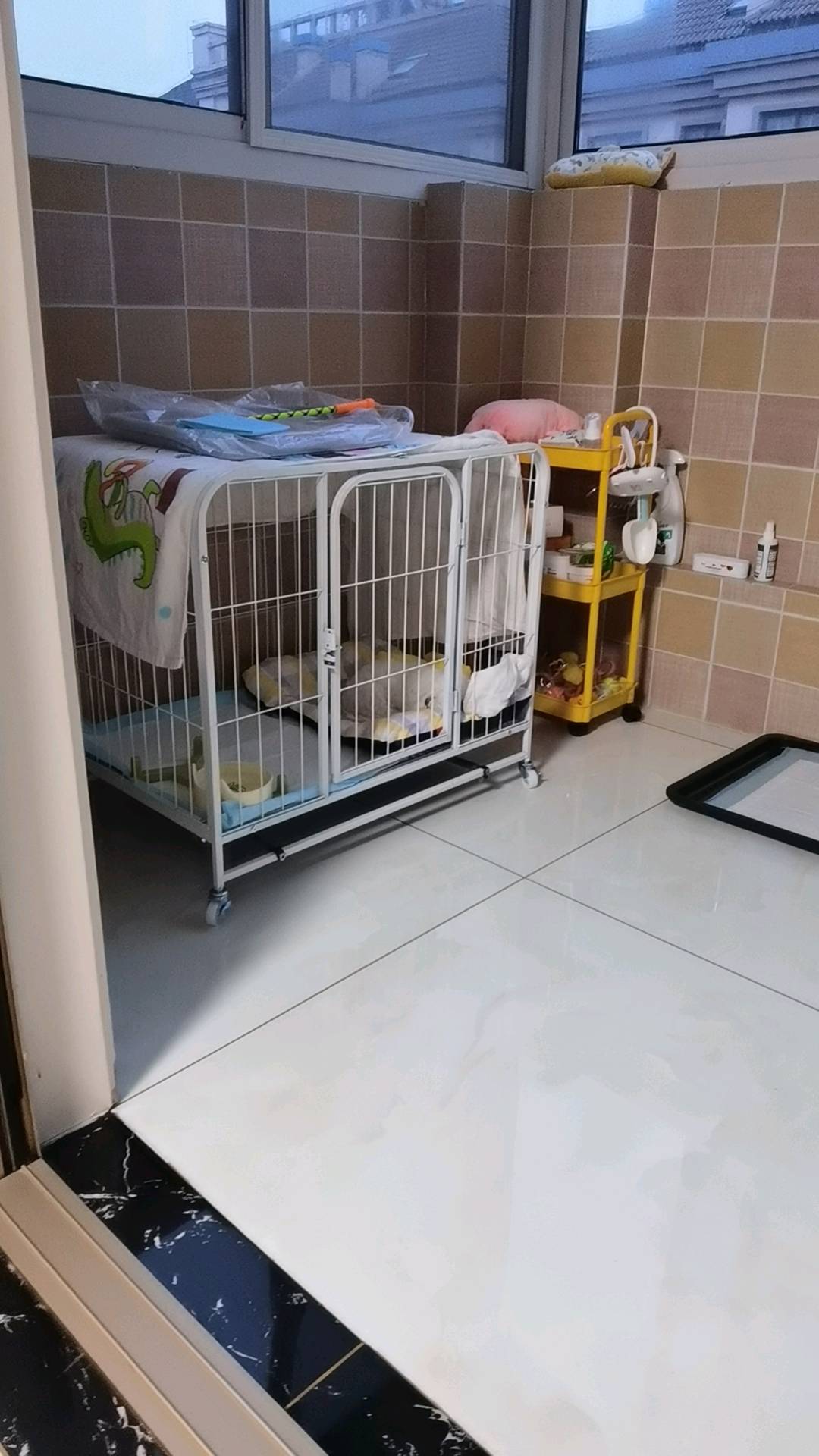 狗狗狗狗吼吼吼吼吼吼吼吼吼吼吼吼吼吼吼吼吼吼吼吼吼吼吼吼吼吼吼吼吼吼吼吼吼吼吼吼吼吼吼吼吼吼吼吼吼吼吼吼吼吼吼吼吼吼吼吼…