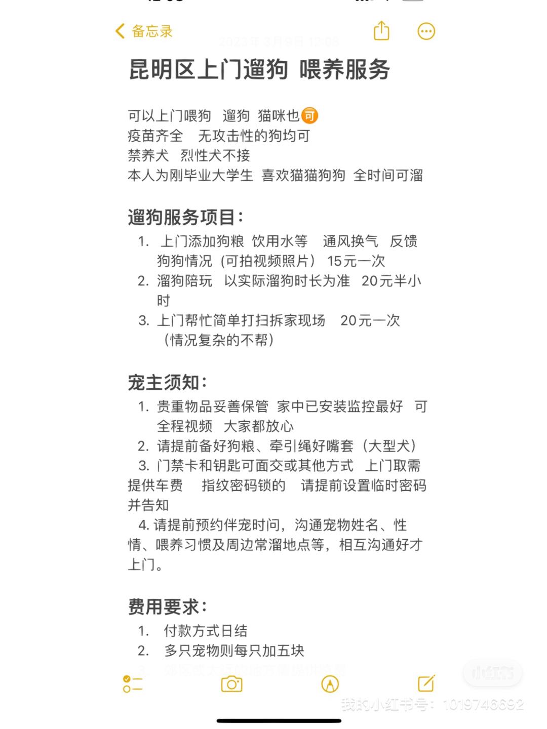 昆明本地区上门遛狗猫咪服务