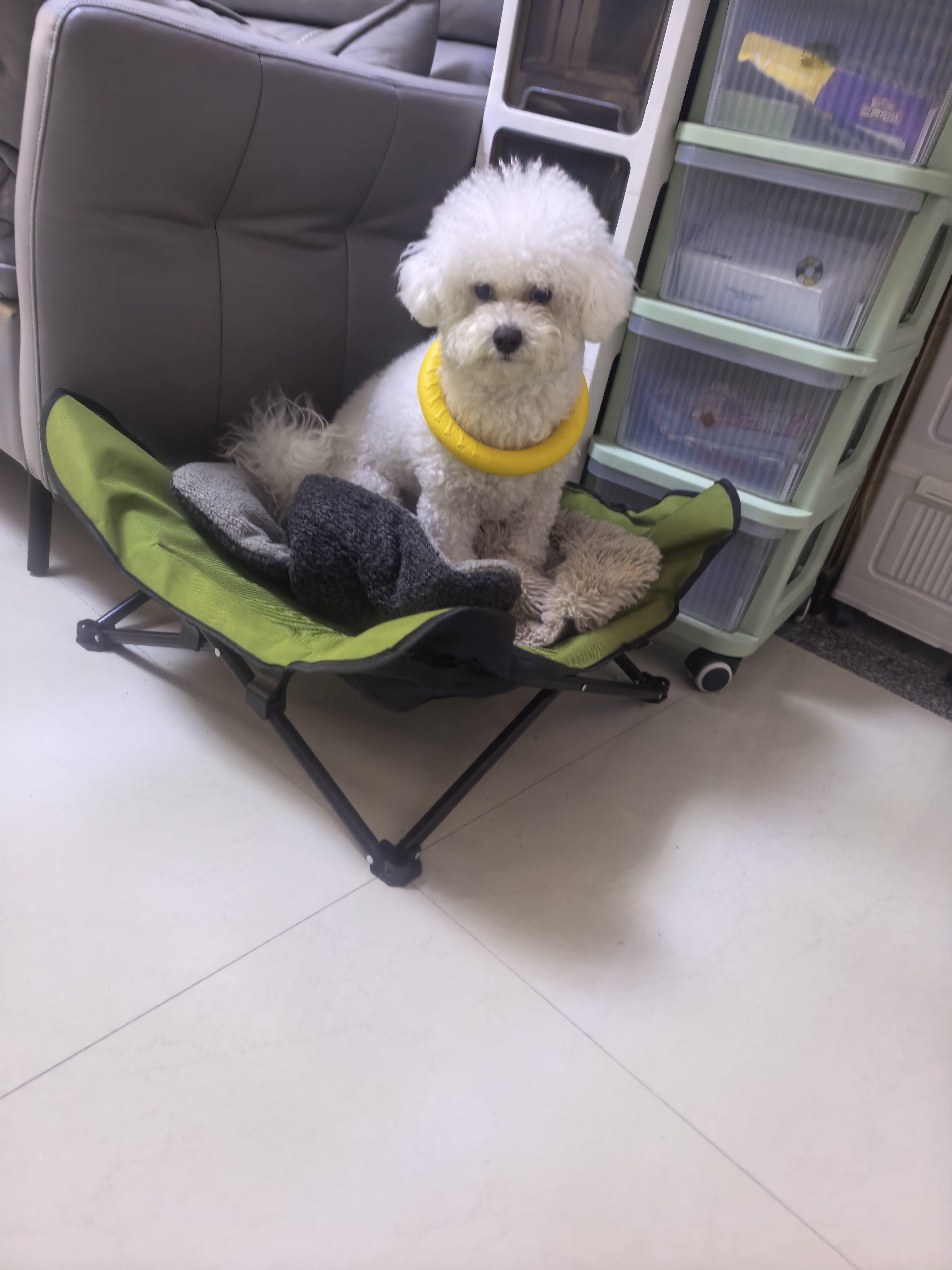 萌宠档案