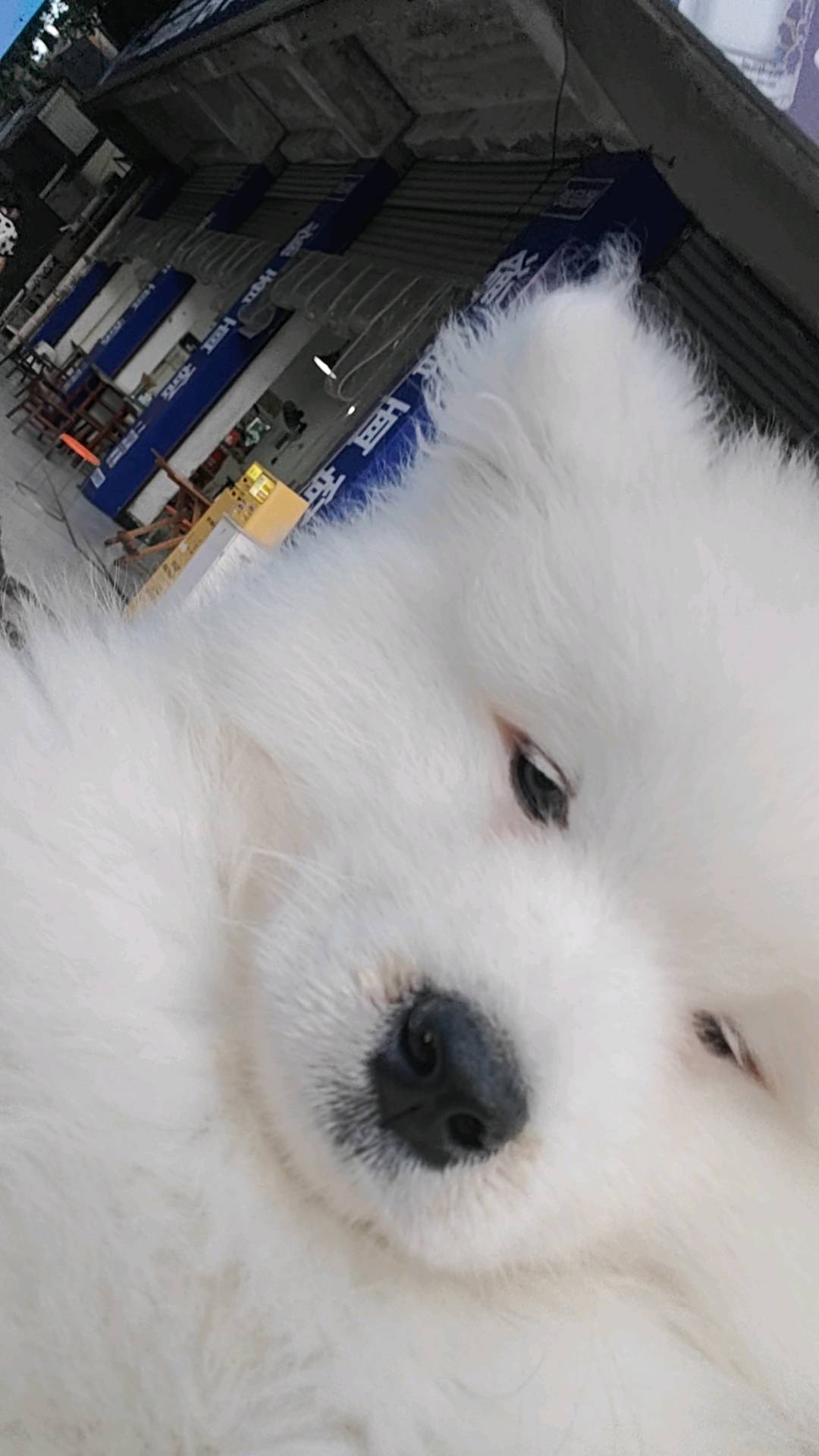 没有介绍