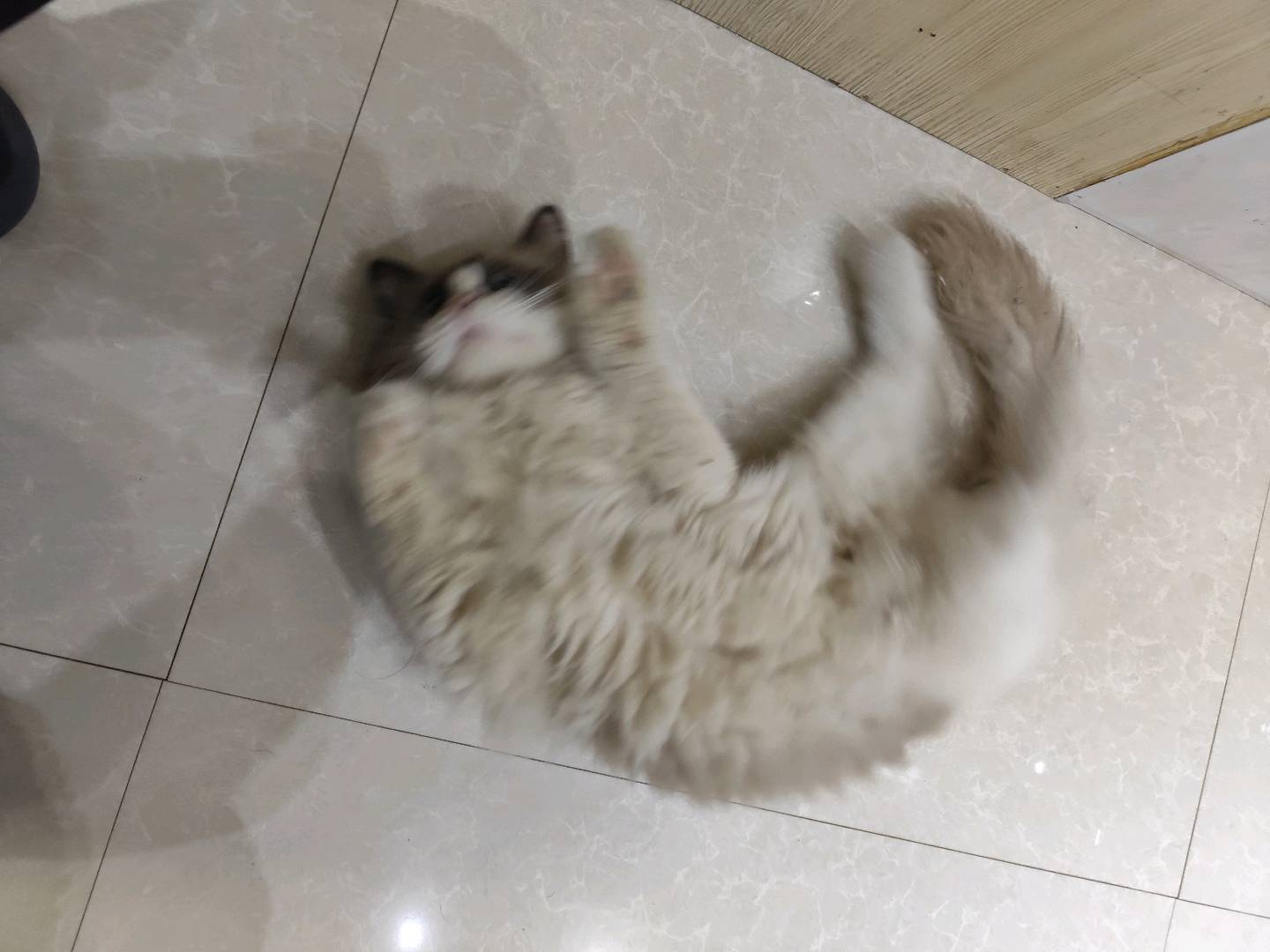 闲置详情