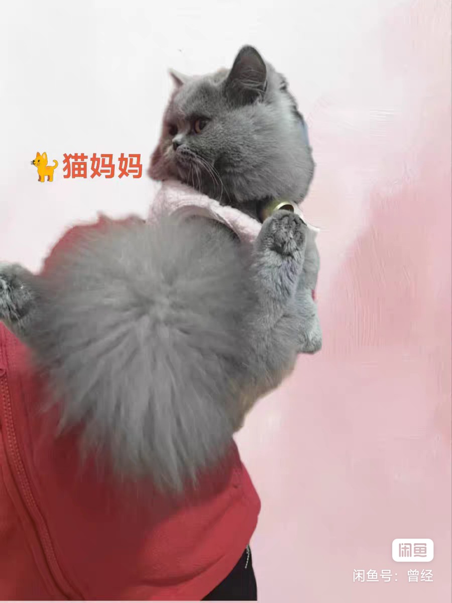 闲置详情