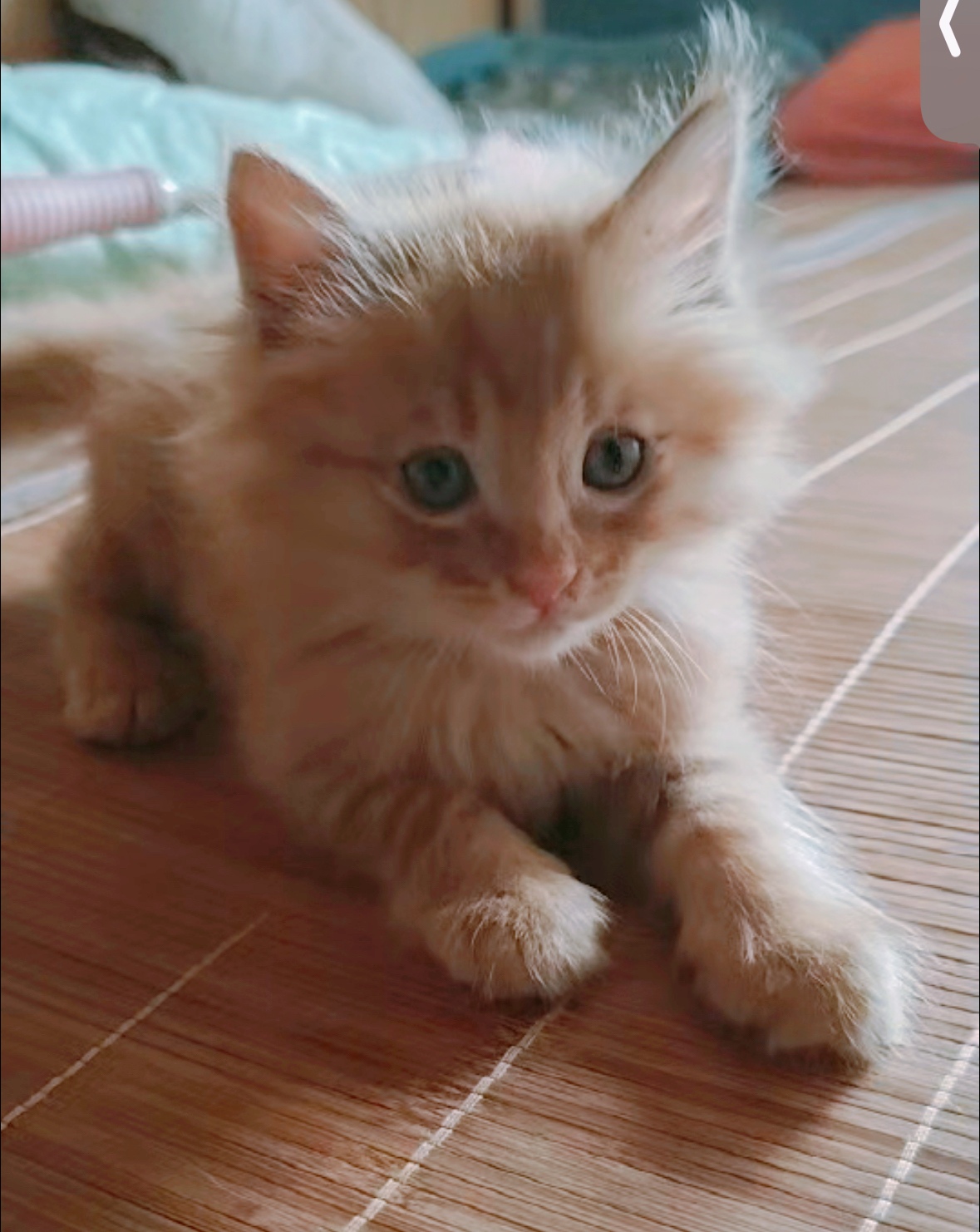 闲置详情