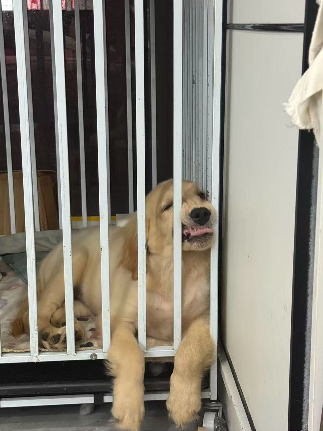 闲置详情