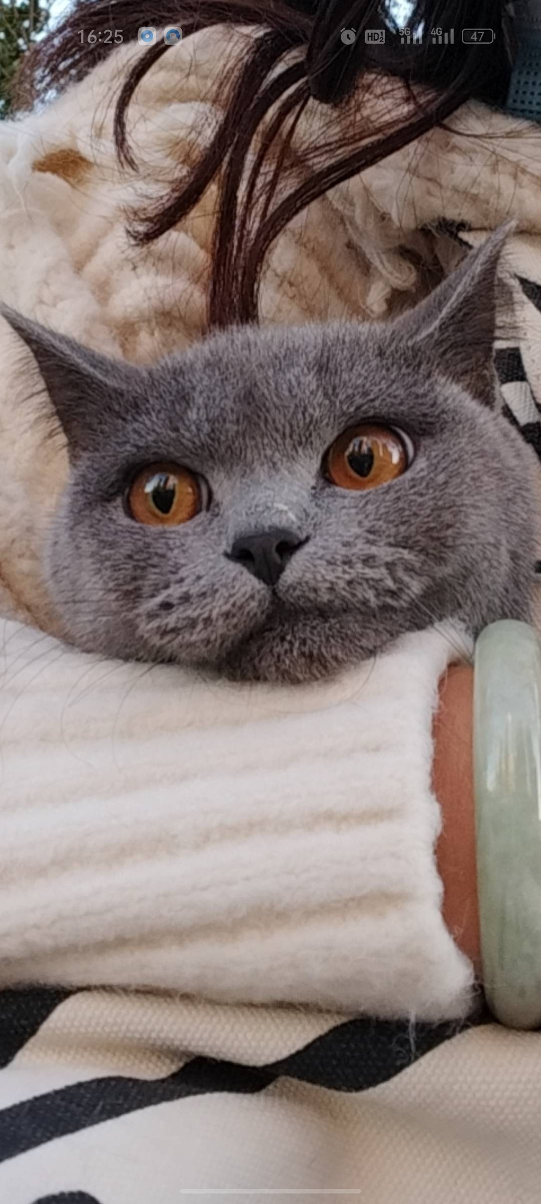玛特