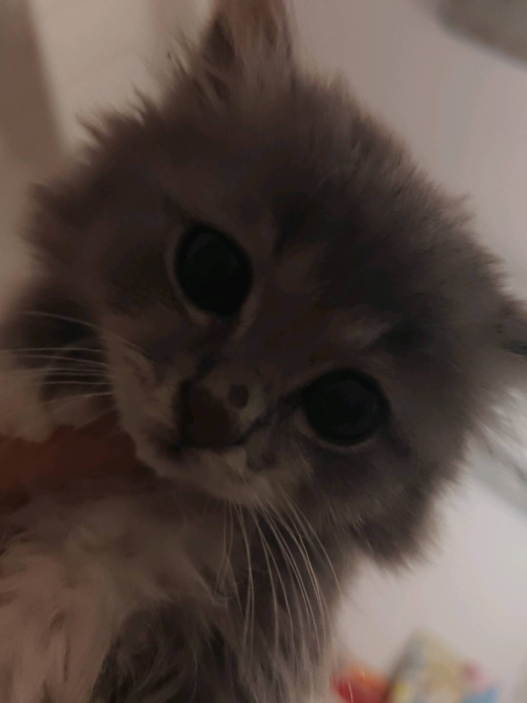 调皮