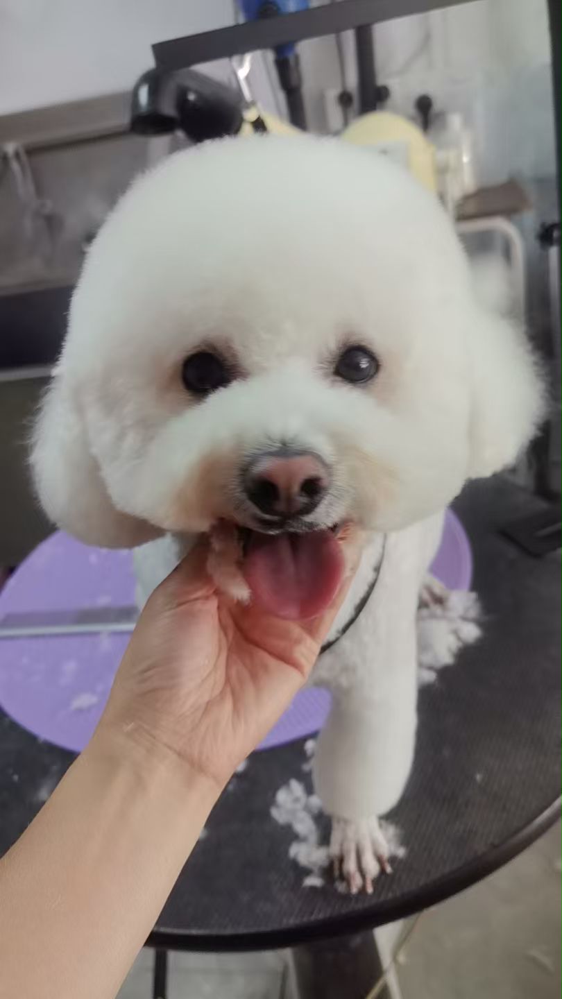 闲置详情