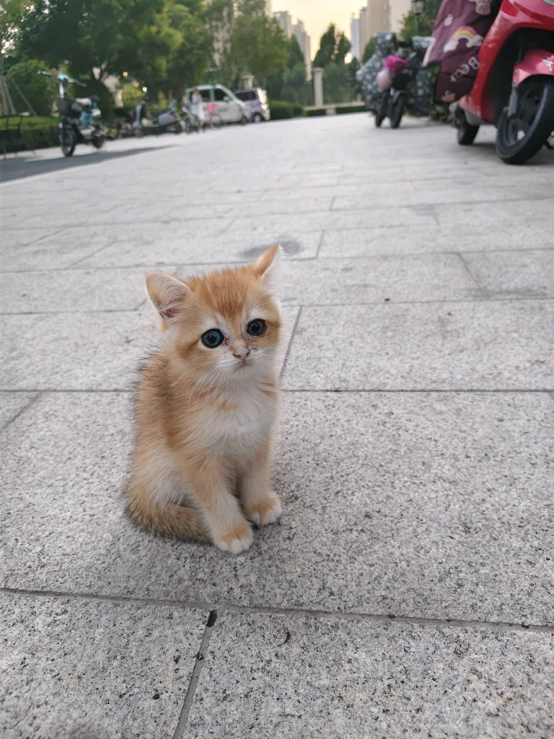 闲置详情