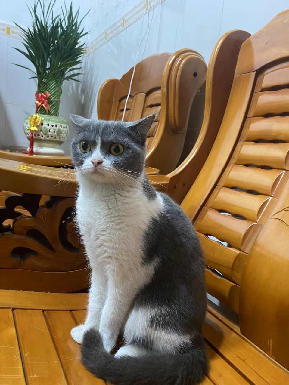 闲置详情