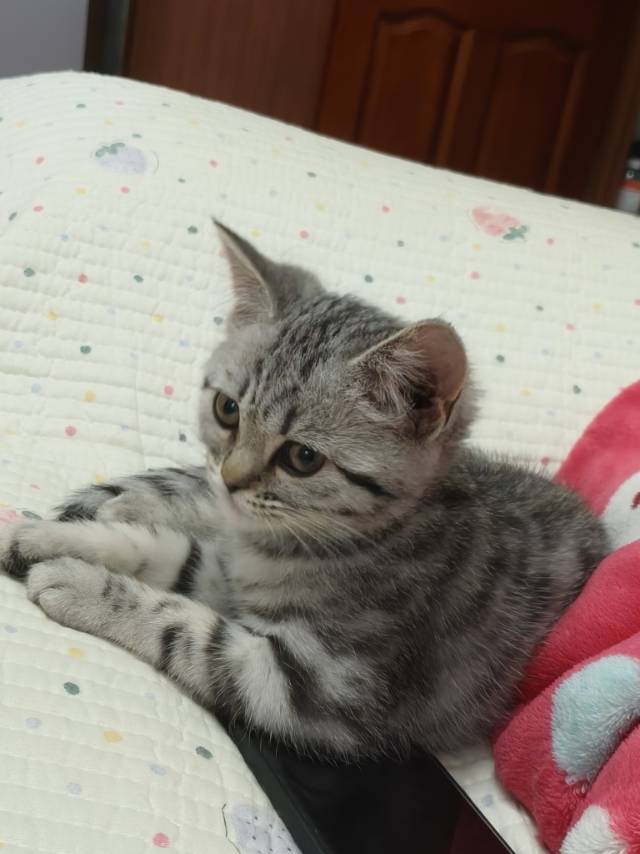 闲置详情