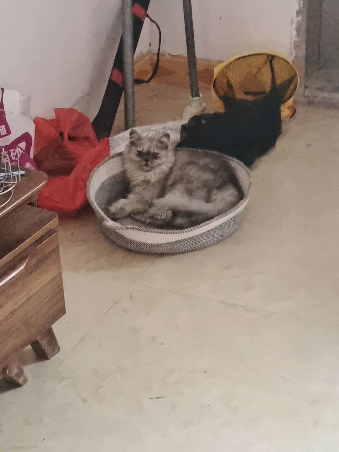 闲置详情