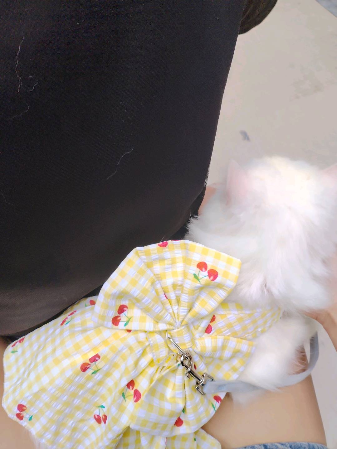 闲置详情