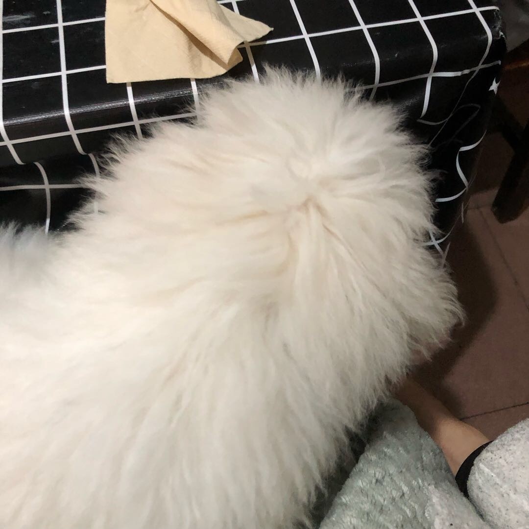 达人动态