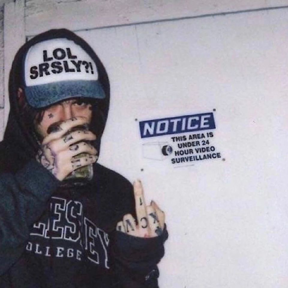 达人动态