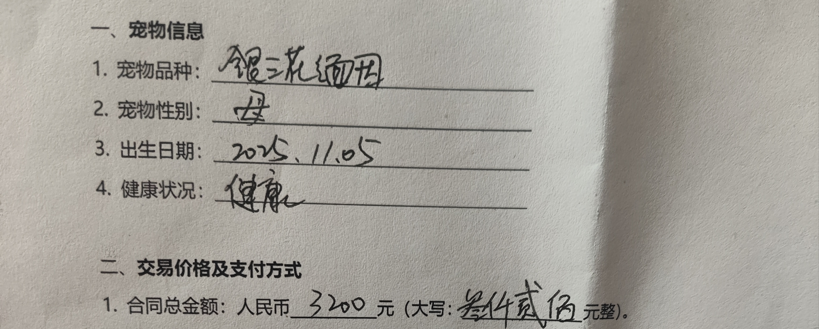 银三花缅因妹妹 七个月 两针疫苗 个人原因养不了了 希望给咪找个好人家 买的时候3*00 现在*000转手 送猫咪日常用品 有意向的可以联系我 心不诚的别来