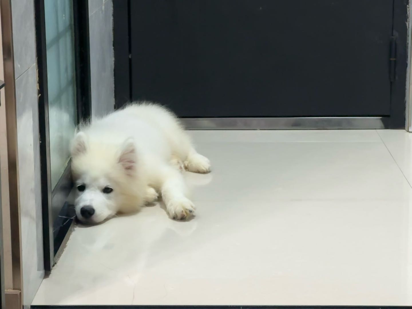 闲置详情