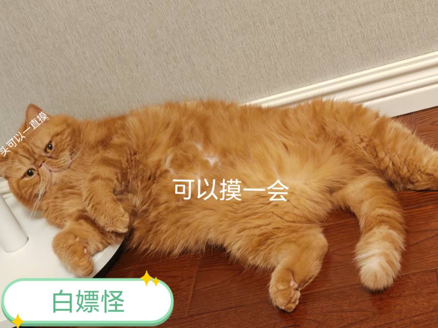 达人动态