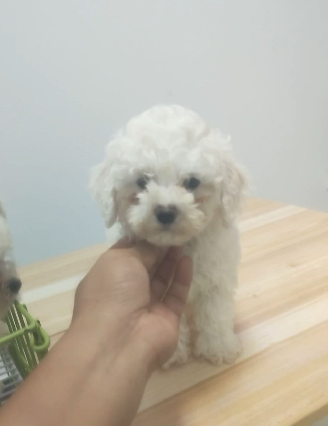 闲置详情