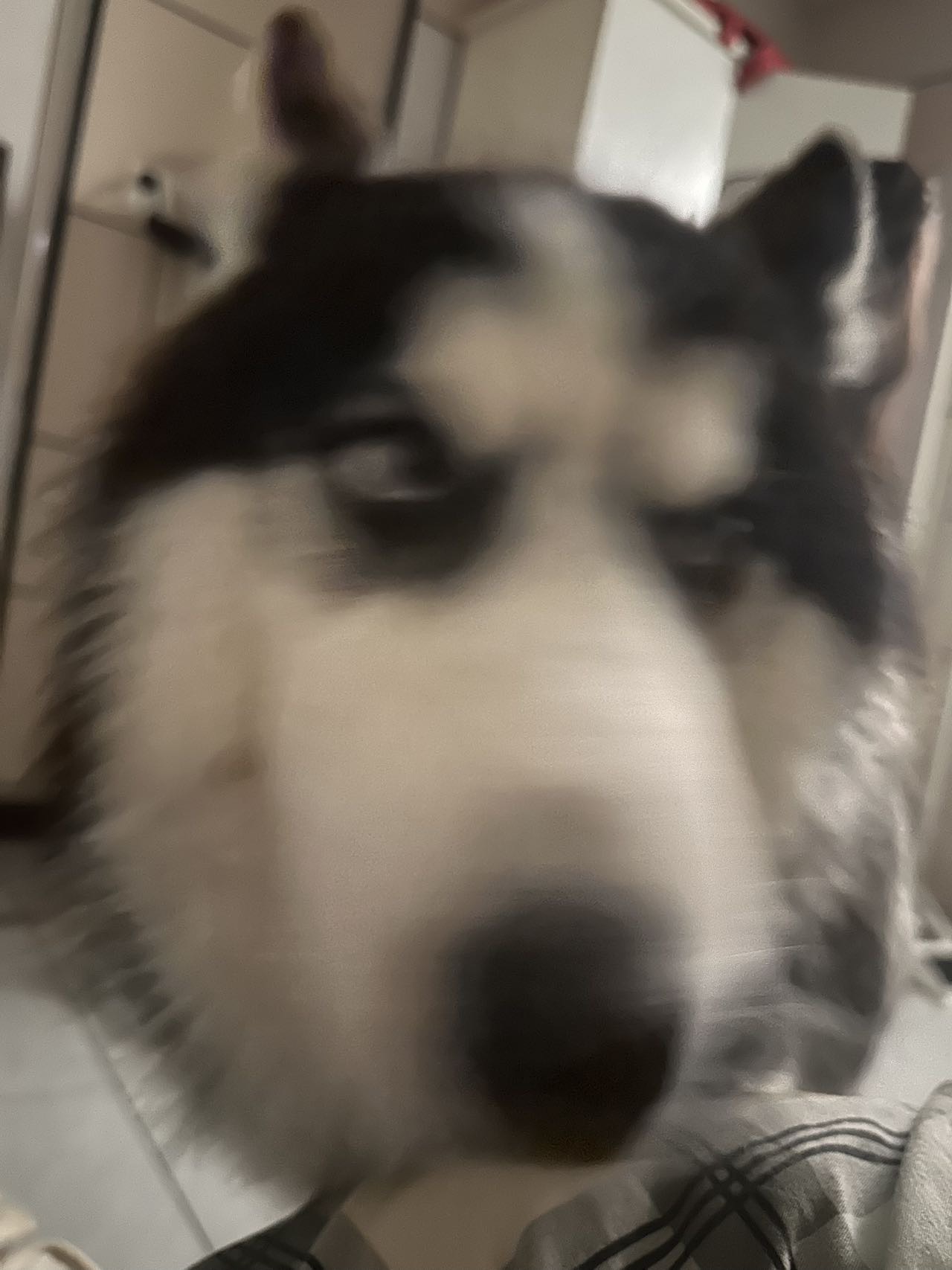 弟弟