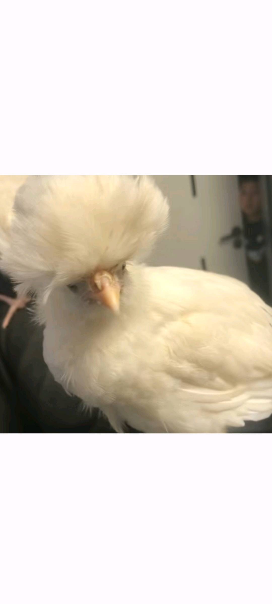 闲置详情