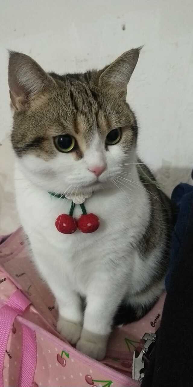 达人动态