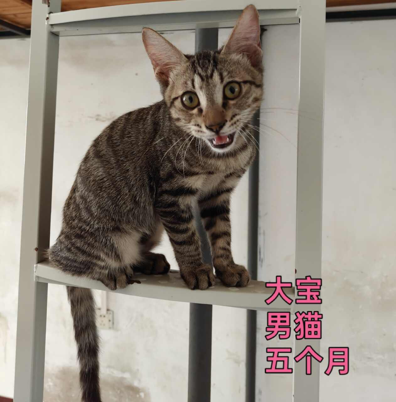 闲置详情