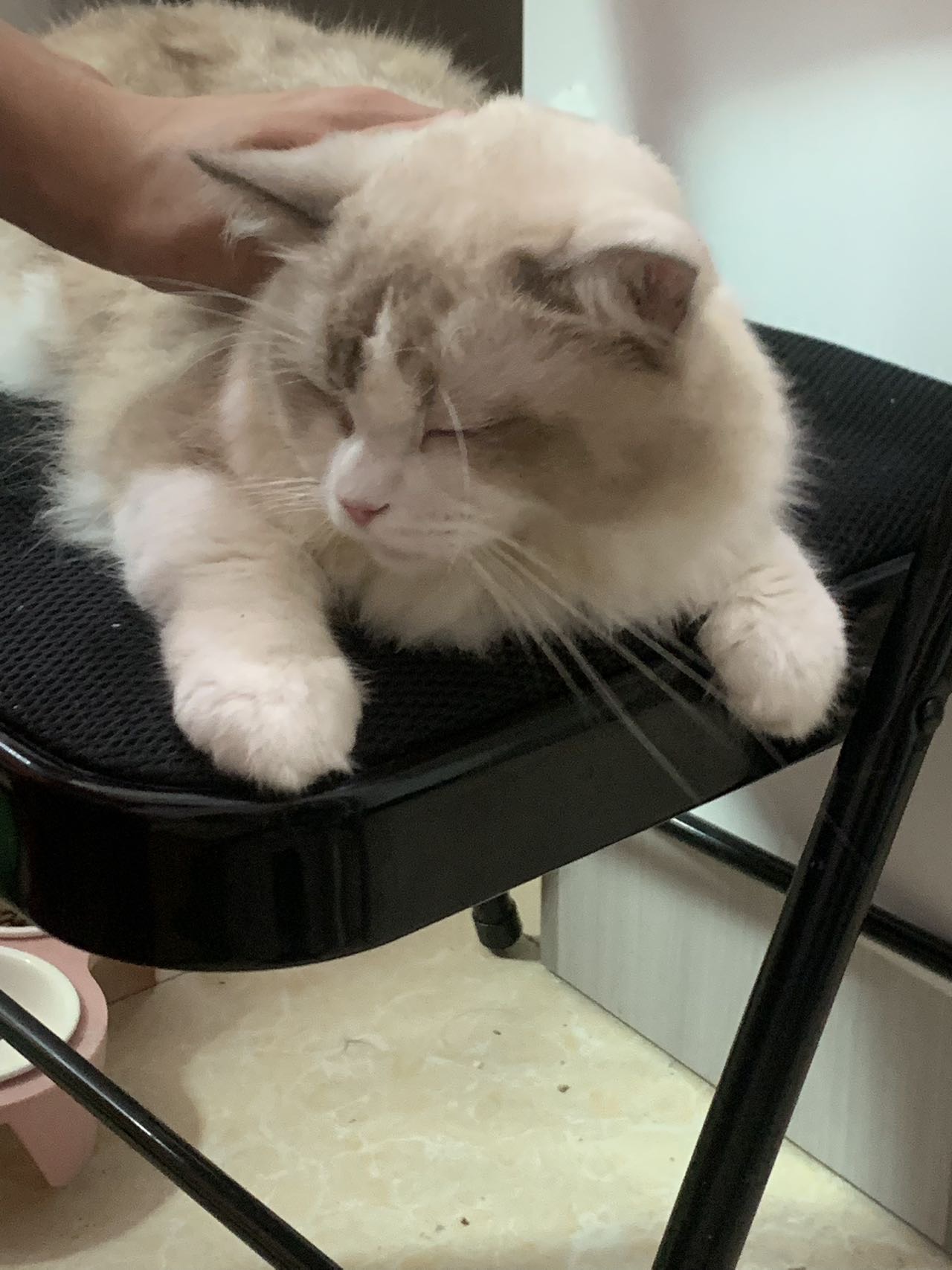 闲置详情