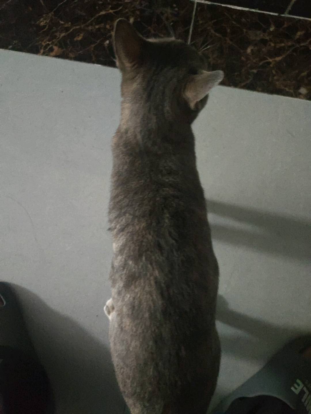 闲置详情