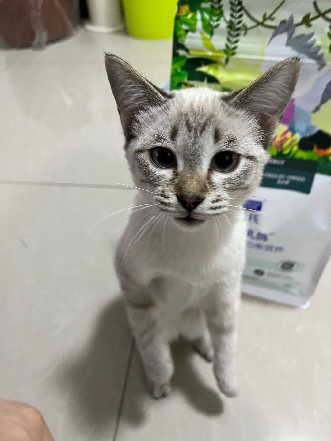 达人动态